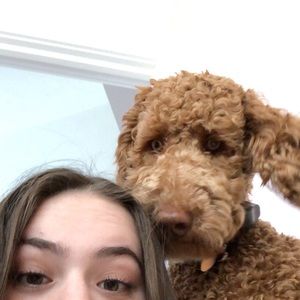 Meet your Posher, Roxy